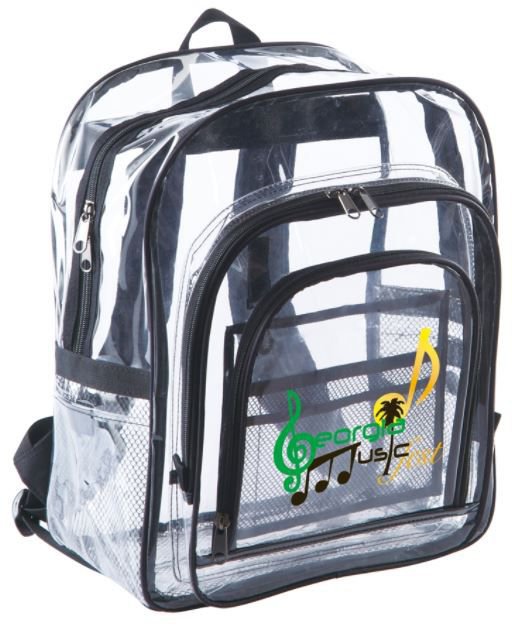 The Large Clear Backpack