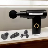 Compact Massage Gun w/Case