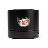 Pulse Small Round Wireless Speaker