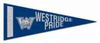 4" x 10" Colored Felt Pennants