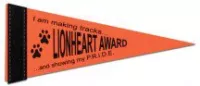 4" x 10" Colored Felt Pennants