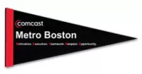 8" x 18" White Felt Pennants