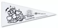 8" x 18" Sewn Strip "Color-Me" Pennant