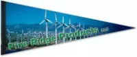 12" x 30" Premium Felt Pennants