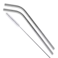 Bent Stainless Steel Straws: Set of 2" Silver