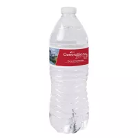 16.9 Oz. Twist Off Cap Bottled Water