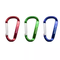 Carabiner Clip Keychain