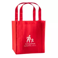 Non Woven Standard Reusable Bag