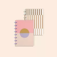 Disc Journal - Small - 3x Laminated Cover