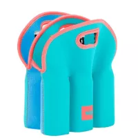 6 Pack Bottle Tote