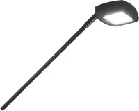 LED Flood Display Light