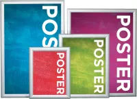 Trappa™ Snap Edge Poster Frame (30"x40")