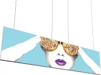 Vector Frame Hanging Light Box 15' x 4'