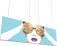 Vector Frame Hanging Light Box 15' x 5'