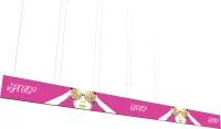 Vector Frame Hanging Light Box 40' x 3'