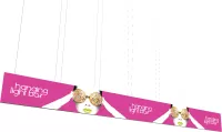 Vector Frame Hanging Light Box 40' x 4'