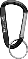 Small Carabiner Key Ring
