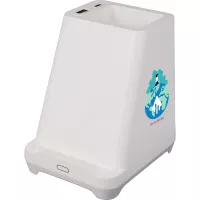 Desk Mate Organizer with Bluetooth Speaker and Charging Hub