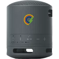 Sony SRS-XB100 Bluetooth Speaker