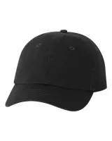 Valucap™ Youth Small Fit Bio-Washed Dad Hat