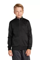 Sport-Tek ® Youth Tricot Sleeve Stripe Track Jacket.