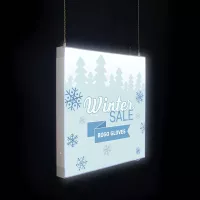 24" x 24" Aerial SEG Glo Ceiling-Mounted Kit