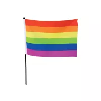 8" Pride Stick Flag