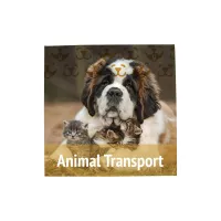 18" x 18" Magnet Promo Sign
