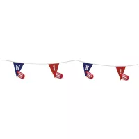 9" x 12" Triangle Pennant String Double-Sided (30')