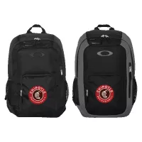 Oakley Enduro 22L Backpack
