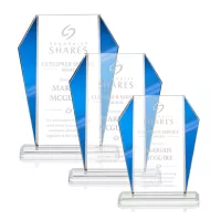 Newbury Award - Blue