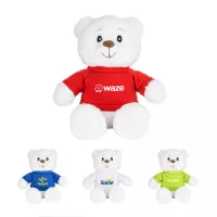 Robbie the Teddy Bear (with T-Shirt)
