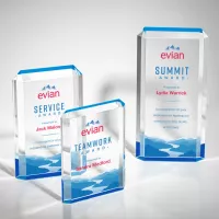 Paragon VividPrint™ Award