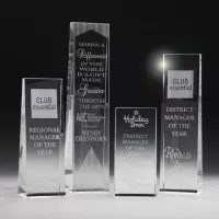 McKinley Tower Award