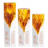 Brandino Award - Orange