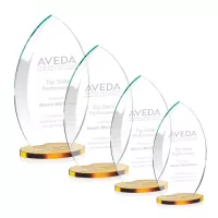 Windermere Award - Amber