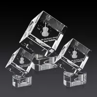 Burrill 3D Award on Paragon Base - Clear