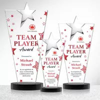 Mantella Chrome Star VividPrint™ Award - Black