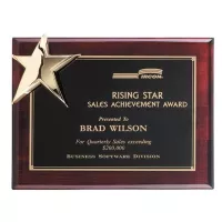 Corner Star Plaque