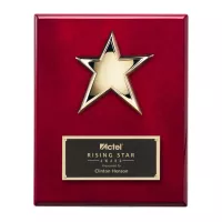 Star Plaque