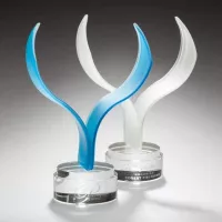 Aerial Award