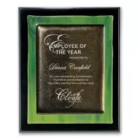 Metallic Fusion Plaque - Black/Green
