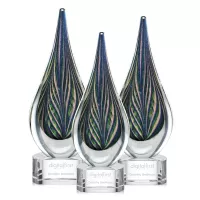 Cobourg Award on Clear Base
