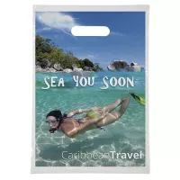 Digital 9" x 13" Full Color Bags