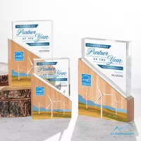 Rocheaux VividPrint™ Award