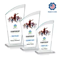 Tomkins VividPrint™ Award