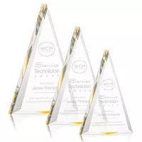 Shrewsbury Award - Gold