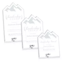 Polaris Summit Award - Silver