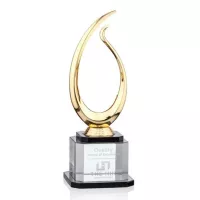 Manor Award
