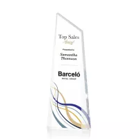 Webster VividPrint™ Award